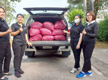 สำนักงานสหกรณ์จังหวัดหนองคายกระจายหอมแดง(ปึ๋ง) ... พารามิเตอร์รูปภาพ 13